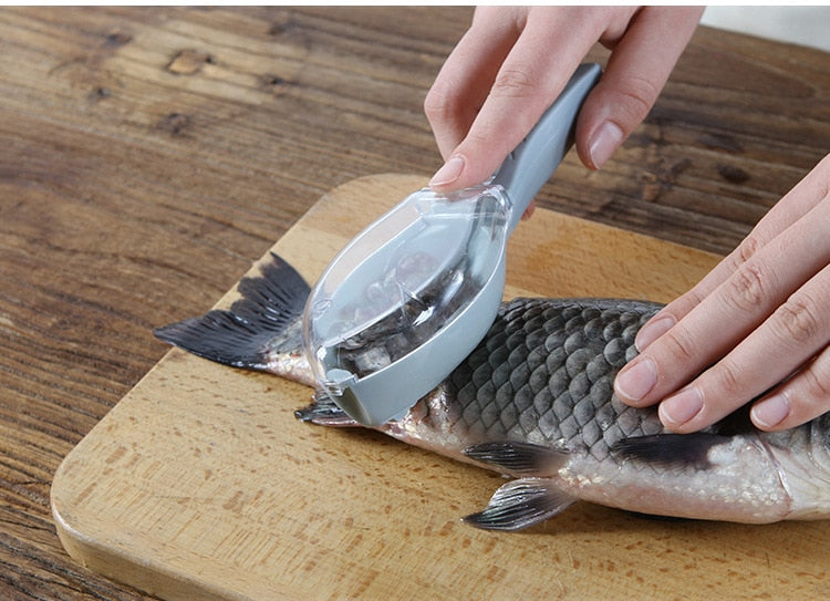 Fish Skin Brush Scraper With Knife - Classy & Unique